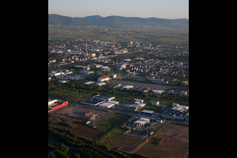 Vue d'oiseau de Quartier Queichheim in Landau in der Pfalz dans le département Rhénanie-Palatinat, Allemagne