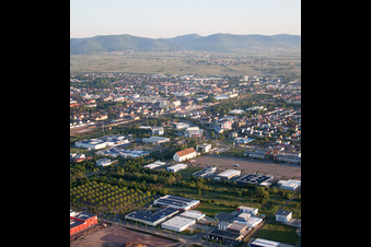 Quartier Queichheim in Landau in der Pfalz dans le département Rhénanie-Palatinat, Allemagne vue du ciel