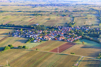 Vue aérienne de Vue du village le matin depuis le sud à Knöringen dans le département Rhénanie-Palatinat, Allemagne