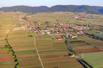 Vue aérienne de Vue de la ville le matin depuis l'est à Edesheim dans le département Rhénanie-Palatinat, Allemagne