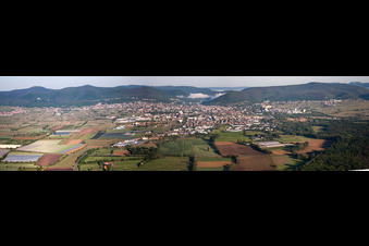 Vue aérienne de Panorama avec brume matinale de la ville et des environs à Neustadt an der Weinstraße dans le département Rhénanie-Palatinat, Allemagne