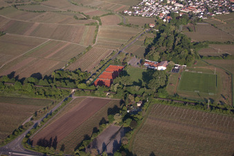 Vue aérienne de Centre sportif, communauté de tennis Hildebrandseck THG à le quartier Königsbach in Neustadt an der Weinstraße dans le département Rhénanie-Palatinat, Allemagne