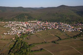 Photographie aérienne de Vignobles en bordure du Haardt dans la forêt du Palatinat à le quartier Königsbach in Neustadt an der Weinstraße dans le département Rhénanie-Palatinat, Allemagne