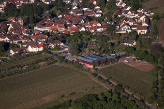 Vue aérienne de Fleurs Schupp à le quartier Gimmeldingen in Neustadt an der Weinstraße dans le département Rhénanie-Palatinat, Allemagne