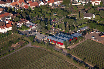 Vue oblique de Fleurs Schupp à le quartier Gimmeldingen in Neustadt an der Weinstraße dans le département Rhénanie-Palatinat, Allemagne
