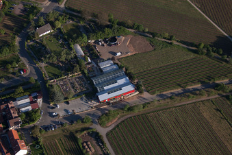 Fleurs Schupp à le quartier Gimmeldingen in Neustadt an der Weinstraße dans le département Rhénanie-Palatinat, Allemagne d'en haut