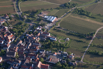 Fleurs Schupp à le quartier Gimmeldingen in Neustadt an der Weinstraße dans le département Rhénanie-Palatinat, Allemagne hors des airs
