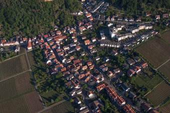 Vue oblique de Anneau d'amande à le quartier Haardt in Neustadt an der Weinstraße dans le département Rhénanie-Palatinat, Allemagne