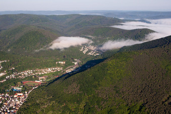 Vue aérienne de Brouillard matinal sur la vallée de Speyerbach à Neustadt an der Weinstraße à Neustadt an der Weinstraße dans le département Rhénanie-Palatinat, Allemagne