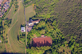 Vue aérienne de Terrain de sport Sankt Martin à l'hôtel Arens à 327 m d'altitude à le quartier SaintMartin in Sankt Martin dans le département Rhénanie-Palatinat, Allemagne