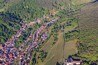 Vue aérienne de Vignobles escarpés au-dessus de Totenkopffstr à le quartier SaintMartin in Sankt Martin dans le département Rhénanie-Palatinat, Allemagne
