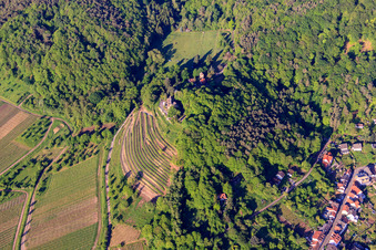 Vue aérienne de Vignoble escarpé en contrebas du château de Kropsburg à le quartier SaintMartin in Sankt Martin dans le département Rhénanie-Palatinat, Allemagne