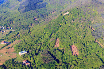 Vue aérienne de Ruines du château de Rietburg et chemin de fer de Rietburg à Rhodt unter Rietburg dans le département Rhénanie-Palatinat, Allemagne