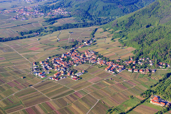 Vue aérienne de Village viticole le matin depuis le nord à Weyher in der Pfalz dans le département Rhénanie-Palatinat, Allemagne