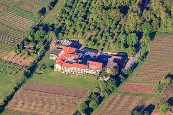 Hôtel bien-être Alte Rebschule à Rhodt unter Rietburg dans le département Rhénanie-Palatinat, Allemagne vue d'en haut