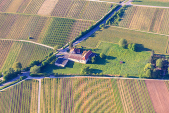 Vue aérienne de Commission des vins Oliver Stiess - Winery GmbH à Frankweiler dans le département Rhénanie-Palatinat, Allemagne