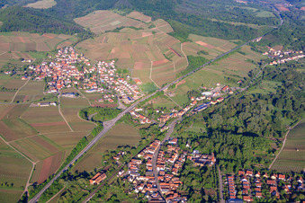 Vue aérienne de Village viticole le matin depuis le nord à Birkweiler dans le département Rhénanie-Palatinat, Allemagne