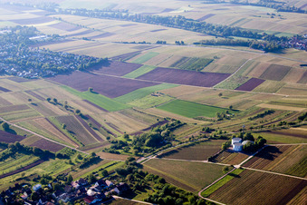 Vue oblique de Châteaux/réservoirs d'eau à le quartier Arzheim in Landau in der Pfalz dans le département Rhénanie-Palatinat, Allemagne