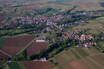 Quartier Ingenheim in Billigheim-Ingenheim dans le département Rhénanie-Palatinat, Allemagne depuis l'avion