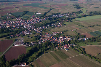 Vue d'oiseau de Quartier Ingenheim in Billigheim-Ingenheim dans le département Rhénanie-Palatinat, Allemagne