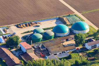 Photographie aérienne de Installations de biogaz de Wagner GmbH à Steinweiler dans le département Rhénanie-Palatinat, Allemagne
