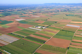 Vue aérienne de Le jardin de Bauer vu du nord le matin à Winden dans le département Rhénanie-Palatinat, Allemagne