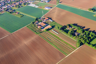Vue aérienne de Marché du village Schoßberghof de Michael Groß Agriculture à Minfeld dans le département Rhénanie-Palatinat, Allemagne