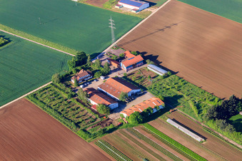 Photographie aérienne de Marché du village Schoßberghof de Michael Groß Agriculture à Minfeld dans le département Rhénanie-Palatinat, Allemagne