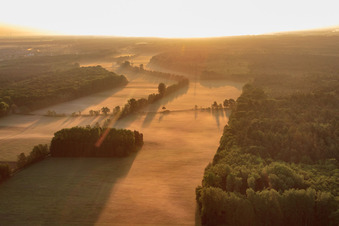 Les plaines d'Otterbach dans la brume matinale à Kandel dans le département Rhénanie-Palatinat, Allemagne d'en haut