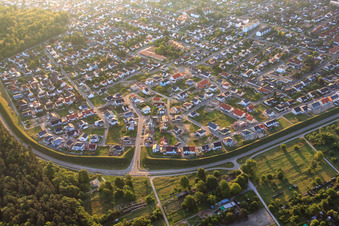 Vue aérienne de Bague d'oiseau le matin à Jockgrim dans le département Rhénanie-Palatinat, Allemagne