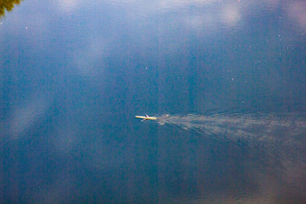 Photographie aérienne de Pagayeurs sur le canal de Saalbach à le quartier Rheinsheim in Philippsburg dans le département Bade-Wurtemberg, Allemagne