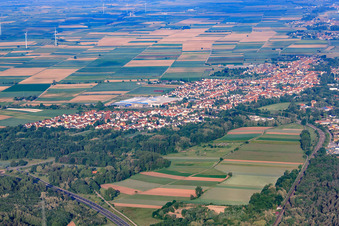 Vue aérienne de Vue de la ville depuis l'est à Bellheim dans le département Rhénanie-Palatinat, Allemagne
