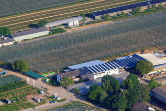 Vue d'oiseau de Marché agricole de Zapf, ferme de fruits et d'asperges, café de la ferme Zapf à Kandel dans le département Rhénanie-Palatinat, Allemagne