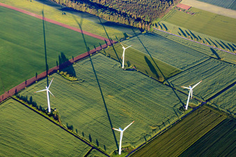 Vue aérienne de Parc éolien de Kugelberg Hohe - Vestas V80-2MW à le quartier Brökeln in Hehlen dans le département Basse-Saxe, Allemagne