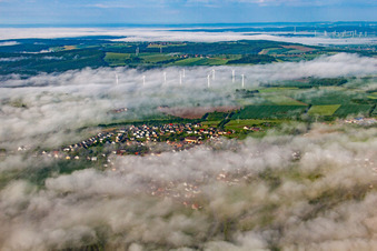 Vue aérienne de Place dans le brouillard devant le parc éolien Fürstenau à le quartier Fürstenau in Höxter dans le département Rhénanie du Nord-Westphalie, Allemagne