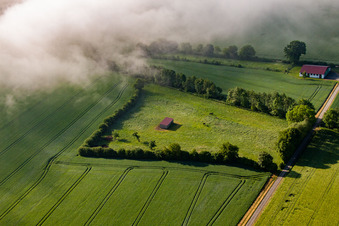 Vue aérienne de Enclos à chevaux à le quartier Bredenborn in Marienmünster dans le département Rhénanie du Nord-Westphalie, Allemagne