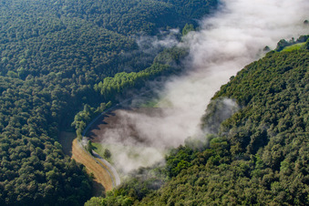 Vue aérienne de Défrichement forestier dans le brouillard à le quartier Ovenhausen in Höxter dans le département Rhénanie du Nord-Westphalie, Allemagne