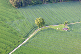 Vue aérienne de Quartier Tietelsen in Beverungen dans le département Rhénanie du Nord-Westphalie, Allemagne
