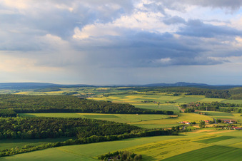 Vue aérienne de Champs et forêts à Brakel dans le département Rhénanie du Nord-Westphalie, Allemagne