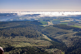 Quartier Langenthal in Trendelburg dans le département Hesse, Allemagne hors des airs