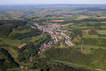 Vue aérienne de Forêt et champs à le quartier Dalhausen in Beverungen dans le département Rhénanie du Nord-Westphalie, Allemagne