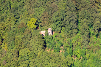 Vue aérienne de Tour Rodeneck à Höxter dans le département Rhénanie du Nord-Westphalie, Allemagne