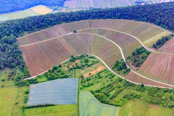 Vue aérienne de Vignobles en Ramsthal avec exposition sud à Ramsthal dans le département Bavière, Allemagne