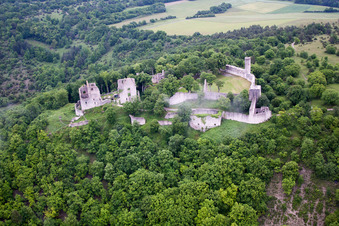 Vue aérienne de Les ruines du château de Homburg, entourées de forêt, près de Gössenheim à Gössenheim dans le département Bavière, Allemagne