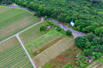 Vue aérienne de Petite chapelle à Gössenheim à Gössenheim dans le département Bavière, Allemagne