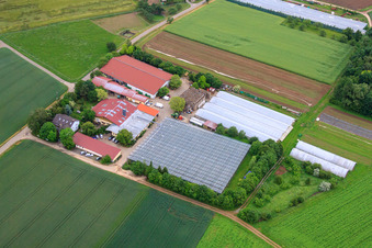 Vue aérienne de Hof Gut Rupperzaint agriculture naturelle GmbH & Co. KG à le quartier Gänheim in Arnstein dans le département Bavière, Allemagne