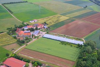 Vue aérienne de Hof Gut Rupperzaint agriculture naturelle GmbH & Co. KG à le quartier Gänheim in Arnstein dans le département Bavière, Allemagne