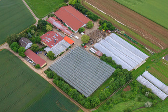 Vue oblique de Hof Gut Rupperzaint agriculture naturelle GmbH & Co. KG à le quartier Gänheim in Arnstein dans le département Bavière, Allemagne