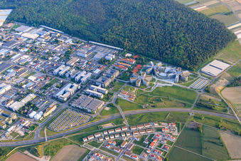 Vue oblique de Zone industrielle sur Dietmar-Hopp-Allee avec SAP SE à Walldorf dans le département Bade-Wurtemberg, Allemagne