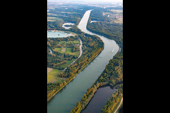 Vue aérienne de Cours du Rhin entre Dettenheim et Hördt à le quartier Liedolsheim in Dettenheim dans le département Bade-Wurtemberg, Allemagne